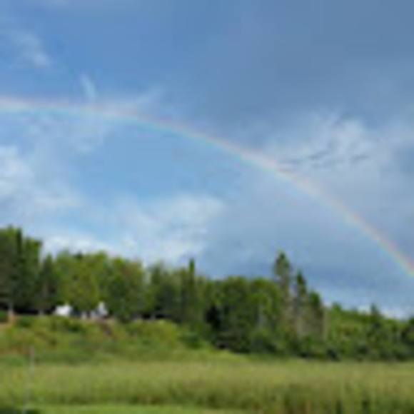 Meet your Posher, Lise - Picture 1 of 1